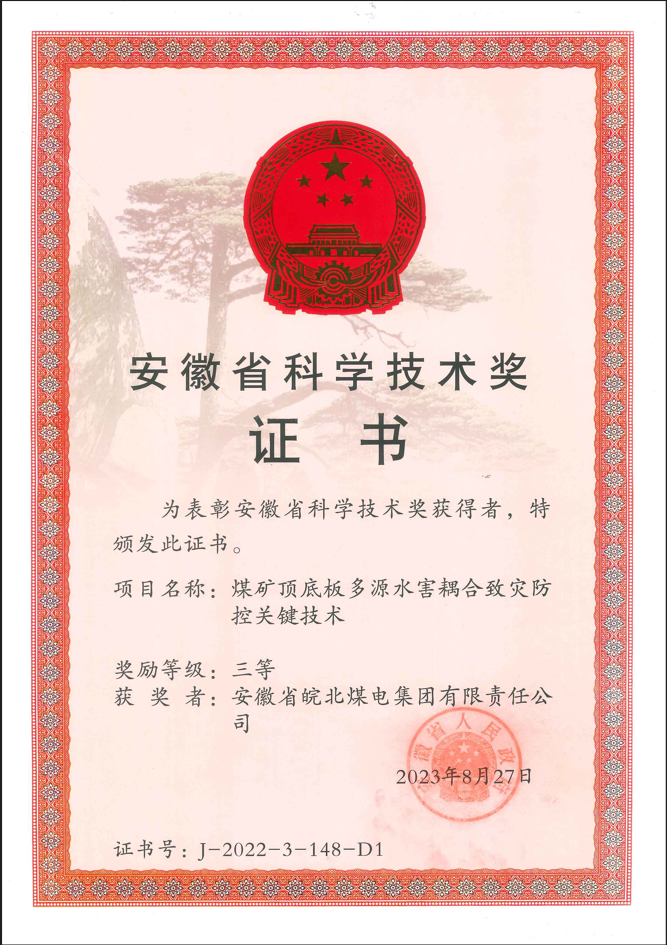 安徽省科技進步三等獎